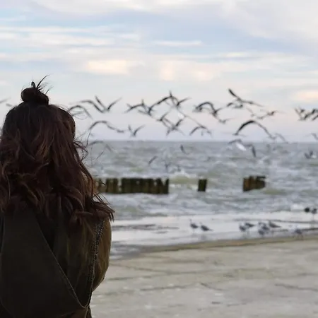 Appartement White Pearl 0.01 *