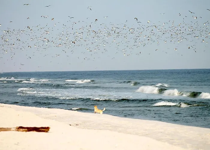 Appartement White Pearl 0.01 Timmendorfer Strand